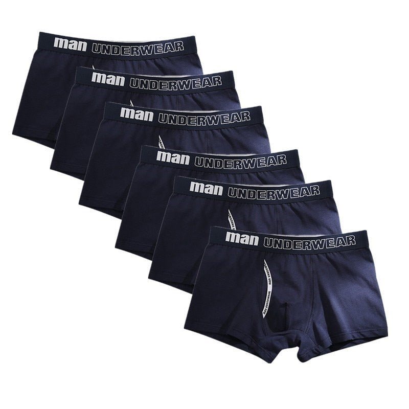 Man Basic Accent Boxer Brief 6-Pack | dmunderwear detail image 6