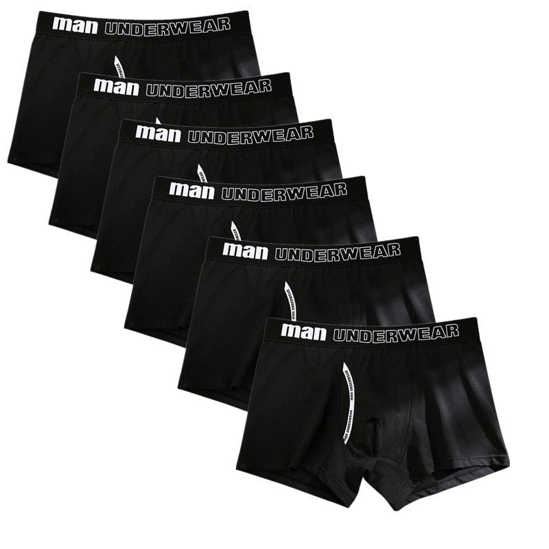 Man Basic Accent Boxer Brief 6-Pack | dmunderwear detail image 7