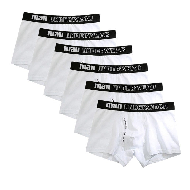 ORVLS Man Basic Accent Boxer Brief 6-Pack | dmunderwear detail image 10