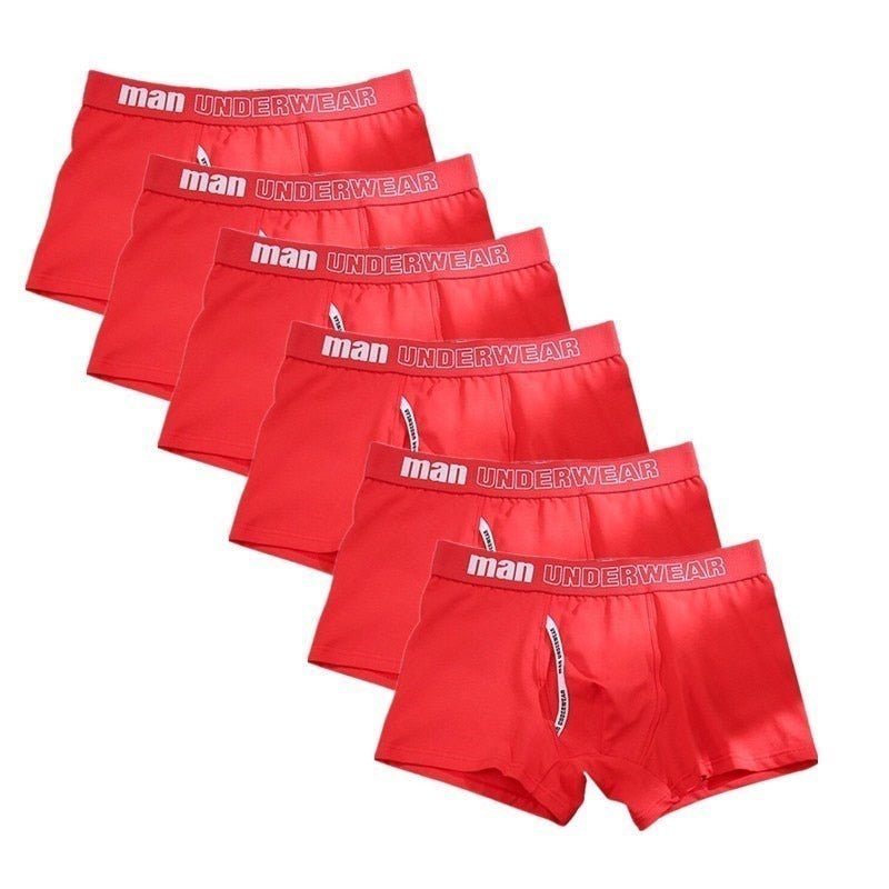 ORVLS Man Basic Accent Boxer Brief 6-Pack | dmunderwear detail image 12