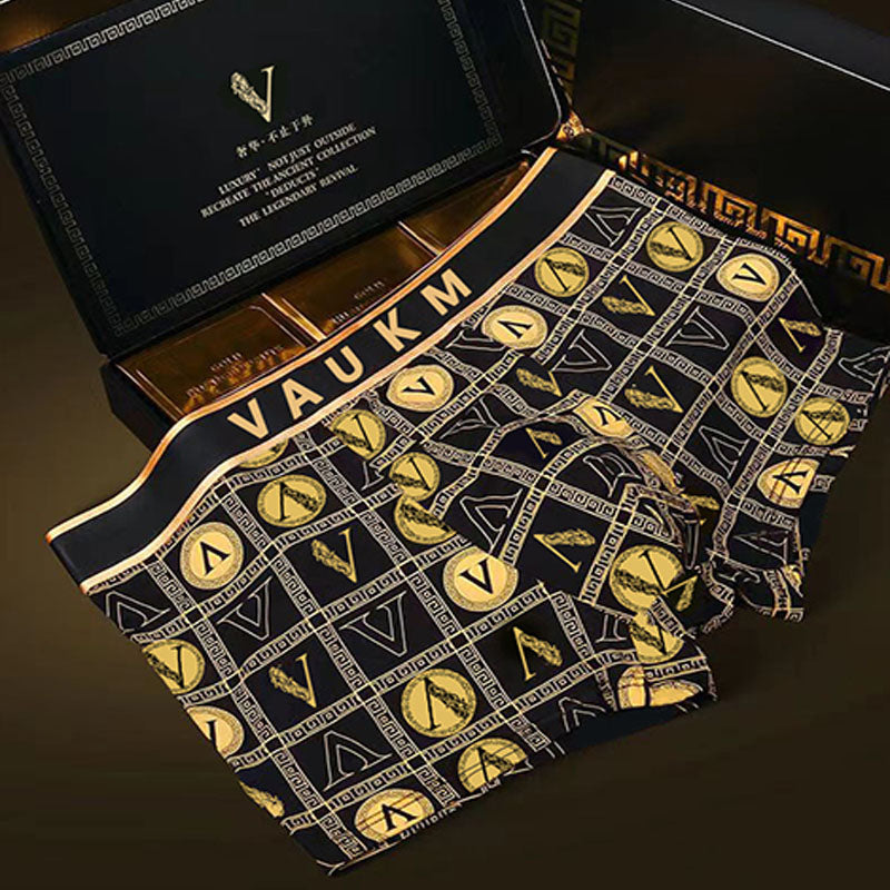 Men's briefs Breathable sport shorts Light luxury briefs Men's boxer shorts | dmunderwear detail image 1