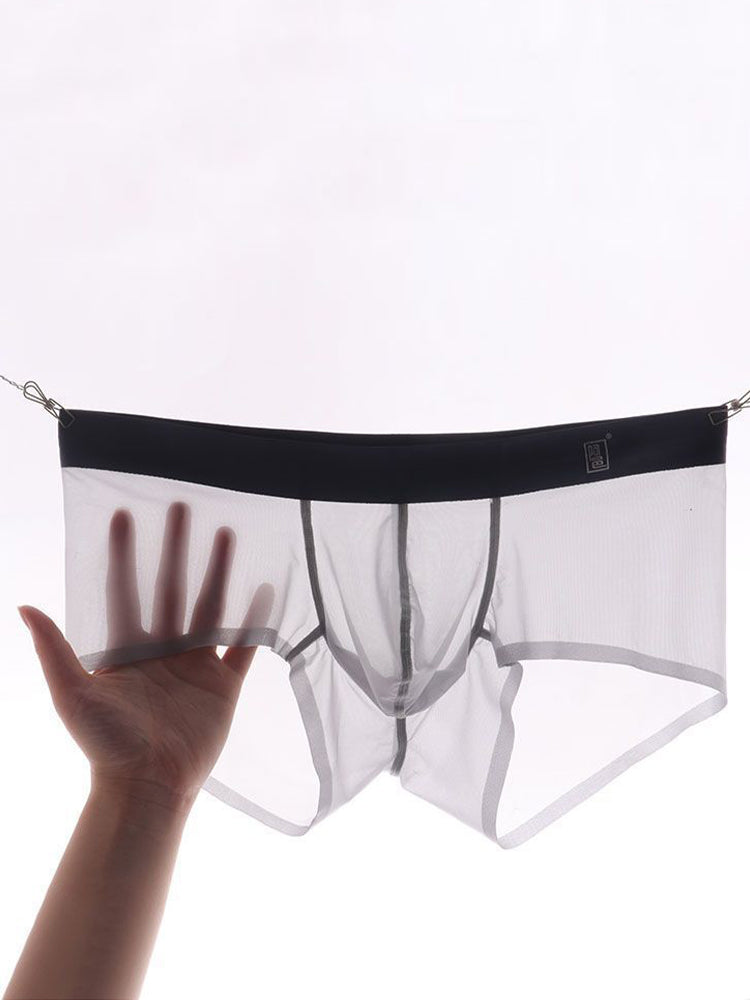 Men's Transparent Sexy Ice Silk Seamless Boxer Briefs | dmunderwear detail image 1
