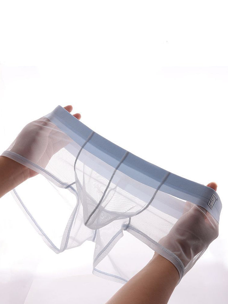 Men's Ultra-thin Low-Rise See-Through Ice Silk Briefs | dmunderwear detail image 1