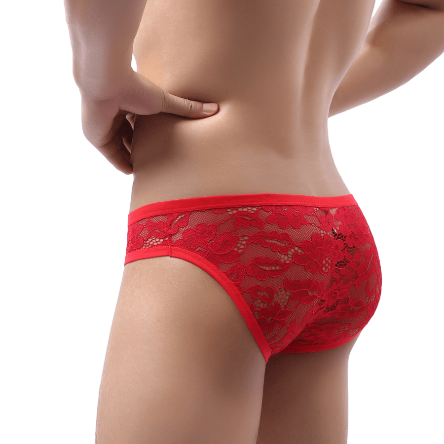 No Secrets Lace Briefs | dmunderwear detail image 7
