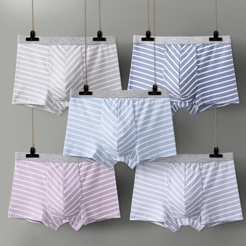 Pastel Striped Boxer Briefs 5-Pack | dmunderwear product image 3