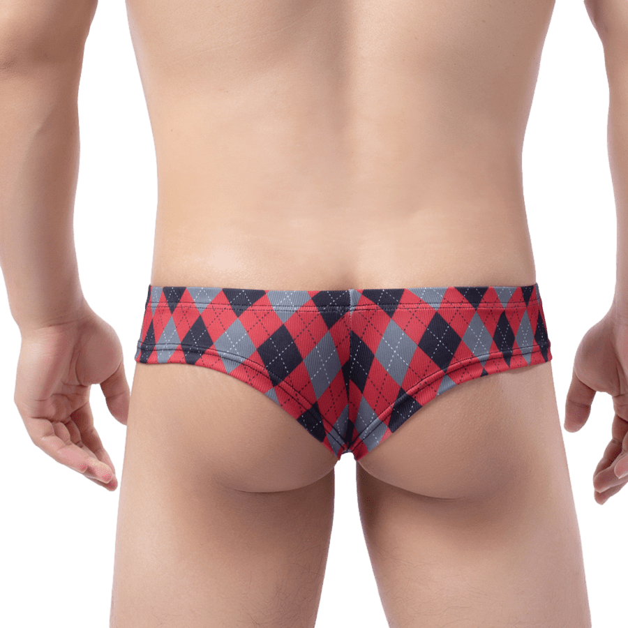 Plaid Cheeky Briefs | dmunderwear detail image 12