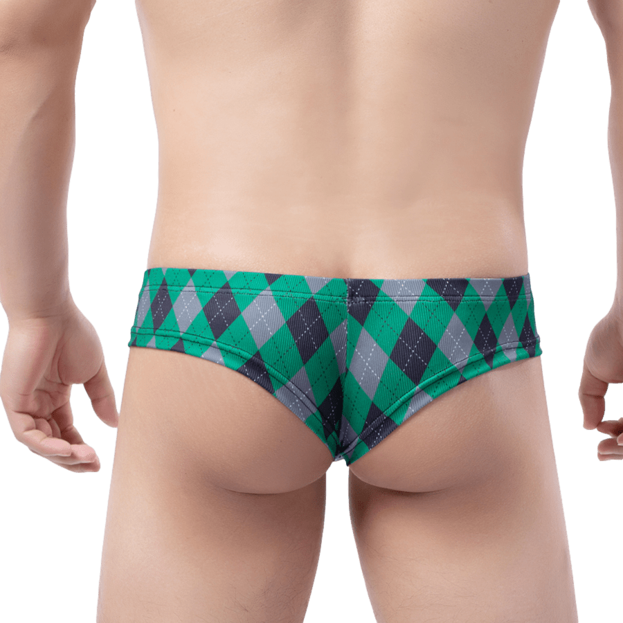 Plaid Cheeky Briefs | dmunderwear detail image 8