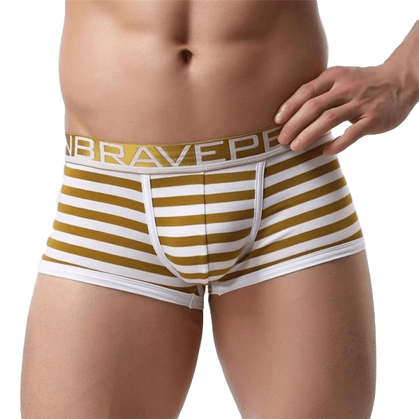 Premium Striped Trunks | dmunderwear variant image
