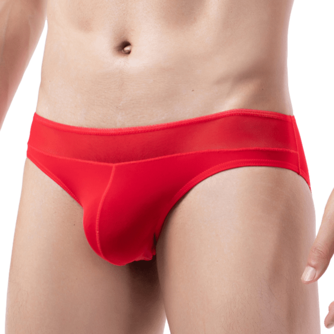 Profile Sheer Briefs | dmunderwear variant image