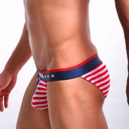 ORVLS Proud American Basket Briefs | dmunderwear detail image 2