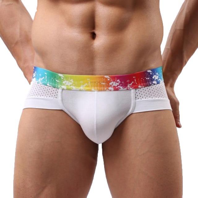 Rainbow Band Mesh Briefs | dmunderwear detail image 1