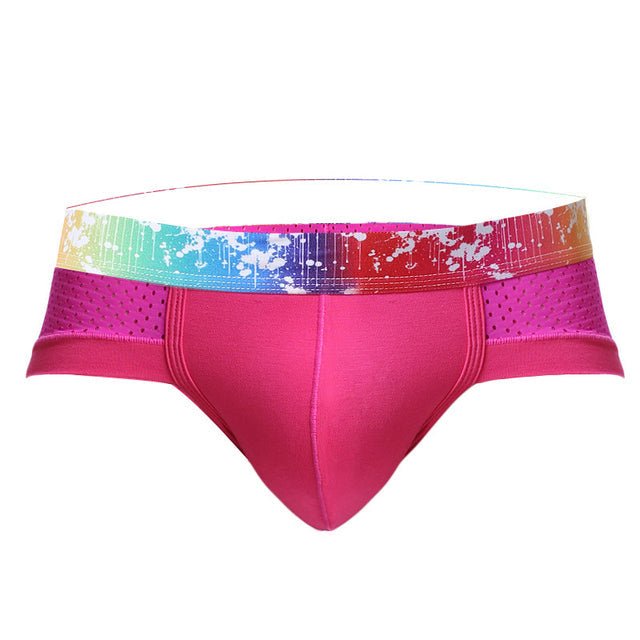 Rainbow Band Mesh Briefs | dmunderwear detail image 10