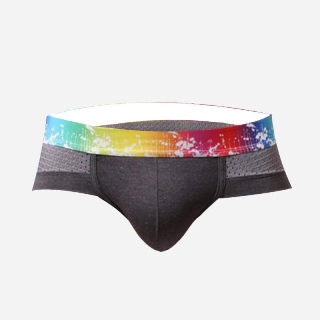 Rainbow Band Mesh Briefs | dmunderwear detail image 5