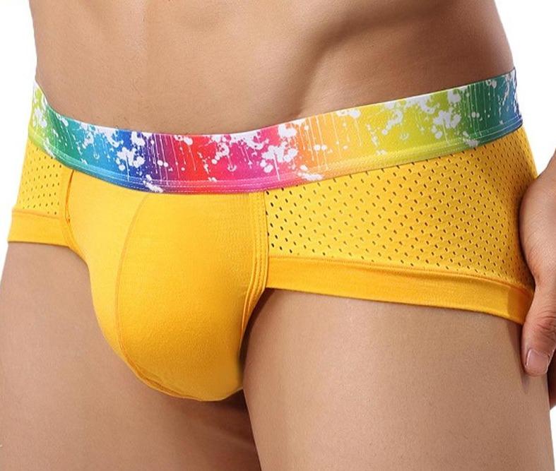 Rainbow Breathable Sports Briefs | dmunderwear detail image 1