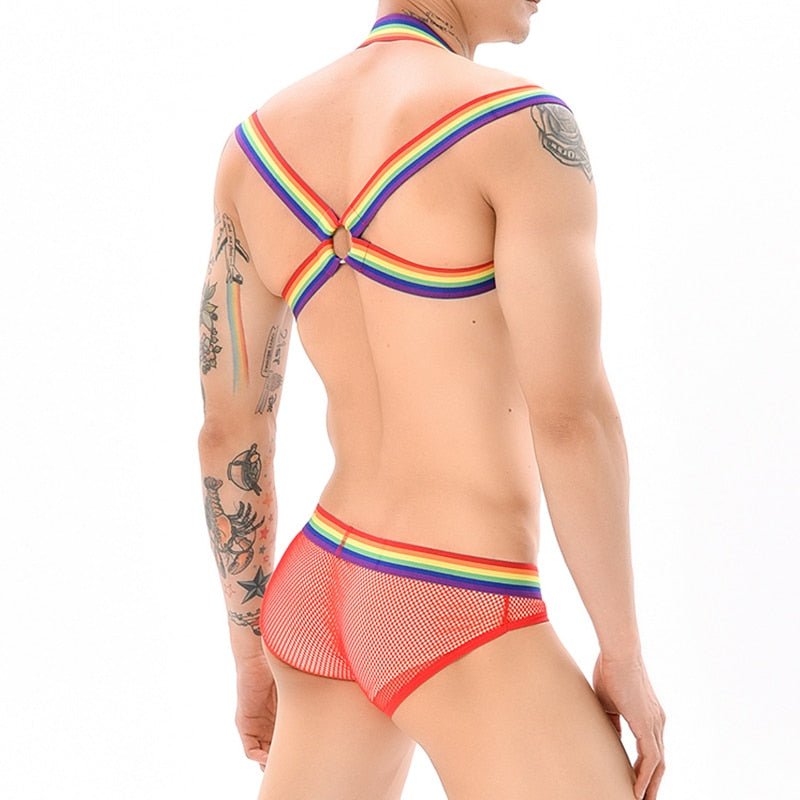Rainbow Mesh Harness + Briefs | dmunderwear detail image 9