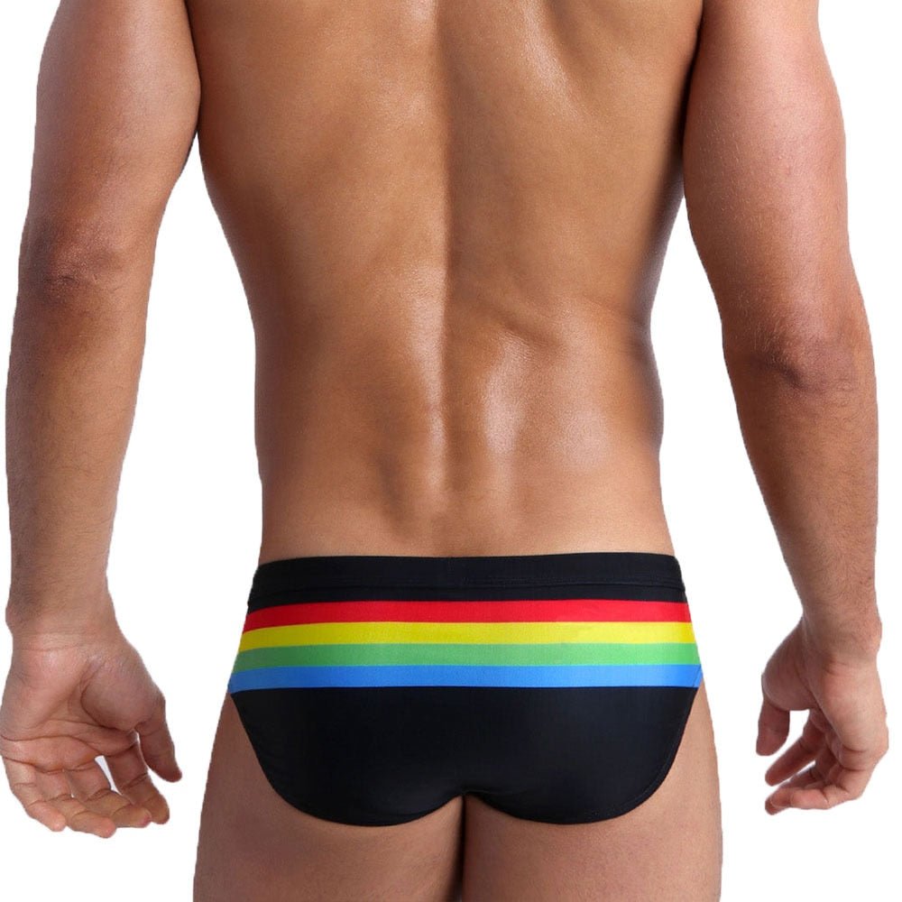 ORVLS Ringaround Rainbow Swim Briefs | dmunderwear detail image 9