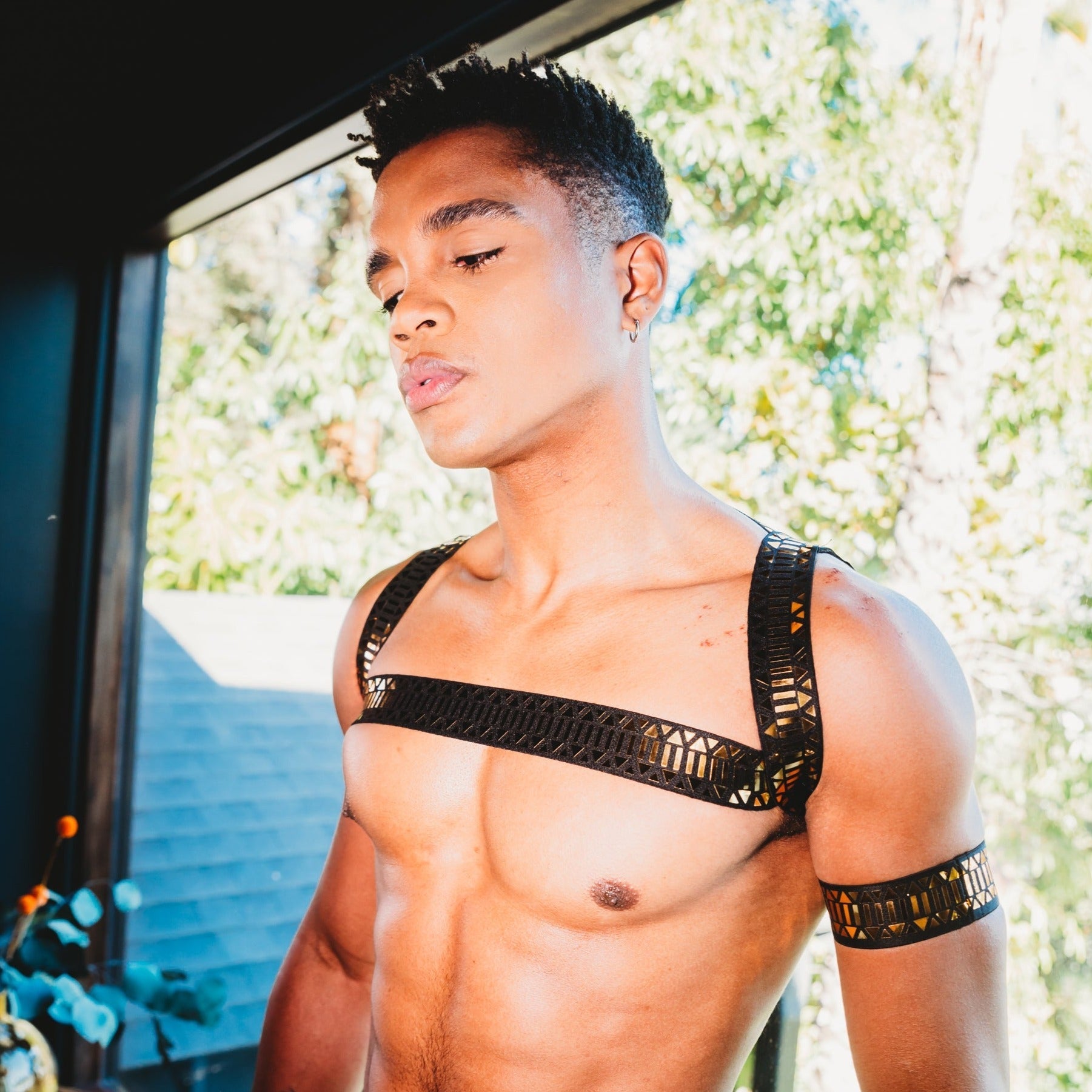 Roman Metallic Chest Harness + Armband | dmunderwear variant image