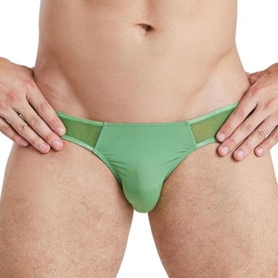 Seductive Sheer Bikini Briefs | dmunderwear variant image