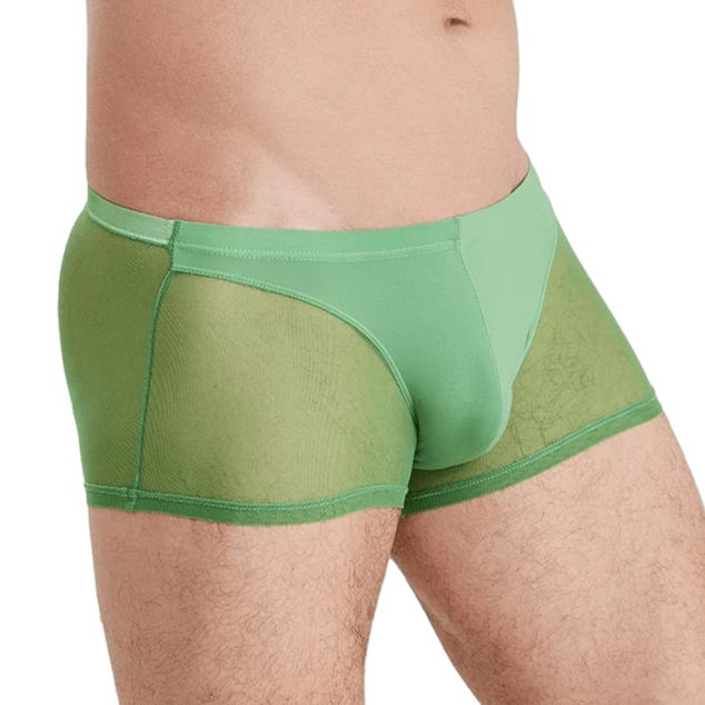 Seductive Sheer Trunks | dmunderwear detail image 1