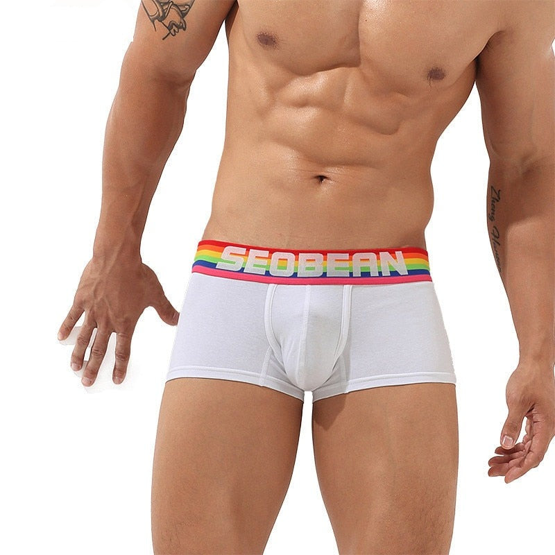 Seobean Rainbow Pride Boxers | dmunderwear detail image 3