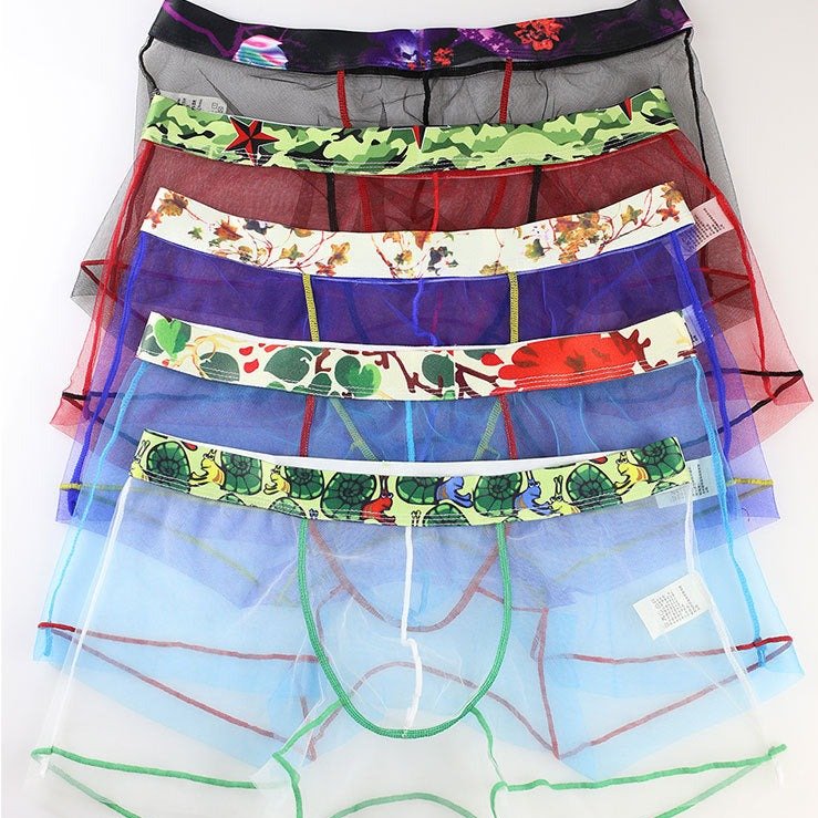 Sheer Boxer Briefs | dmunderwear detail image 11