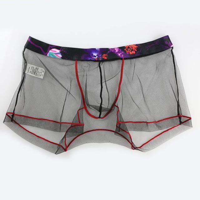 Sheer Boxer Briefs | dmunderwear variant image
