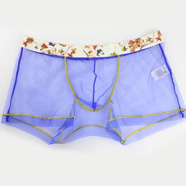 Sheer Boxer Briefs | dmunderwear detail image 4