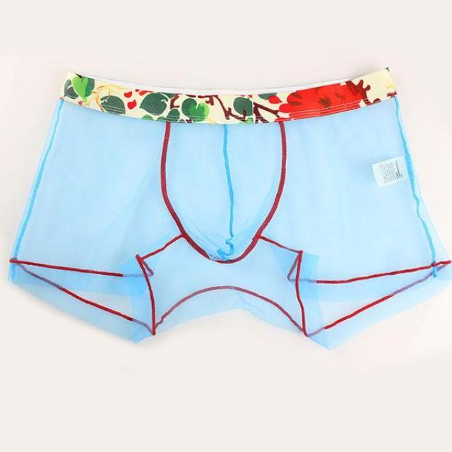 Sheer Boxer Briefs | dmunderwear detail image 6