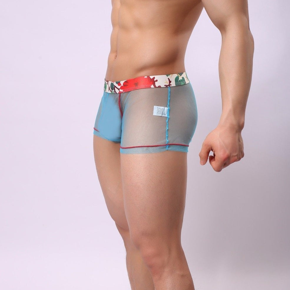 Sheer Boxer Briefs | dmunderwear detail image 7