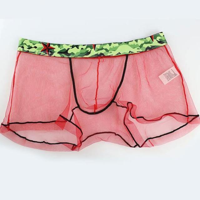 Sheer Boxer Briefs | dmunderwear detail image 8