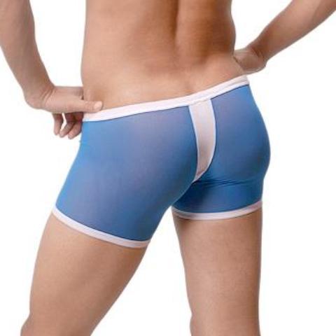 Sheer G-Trunks | dmunderwear detail image 1