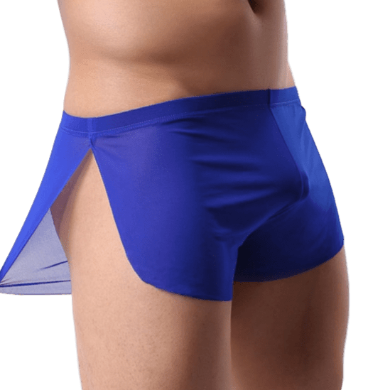 Sheer Slit Shorts | dmunderwear detail image 1