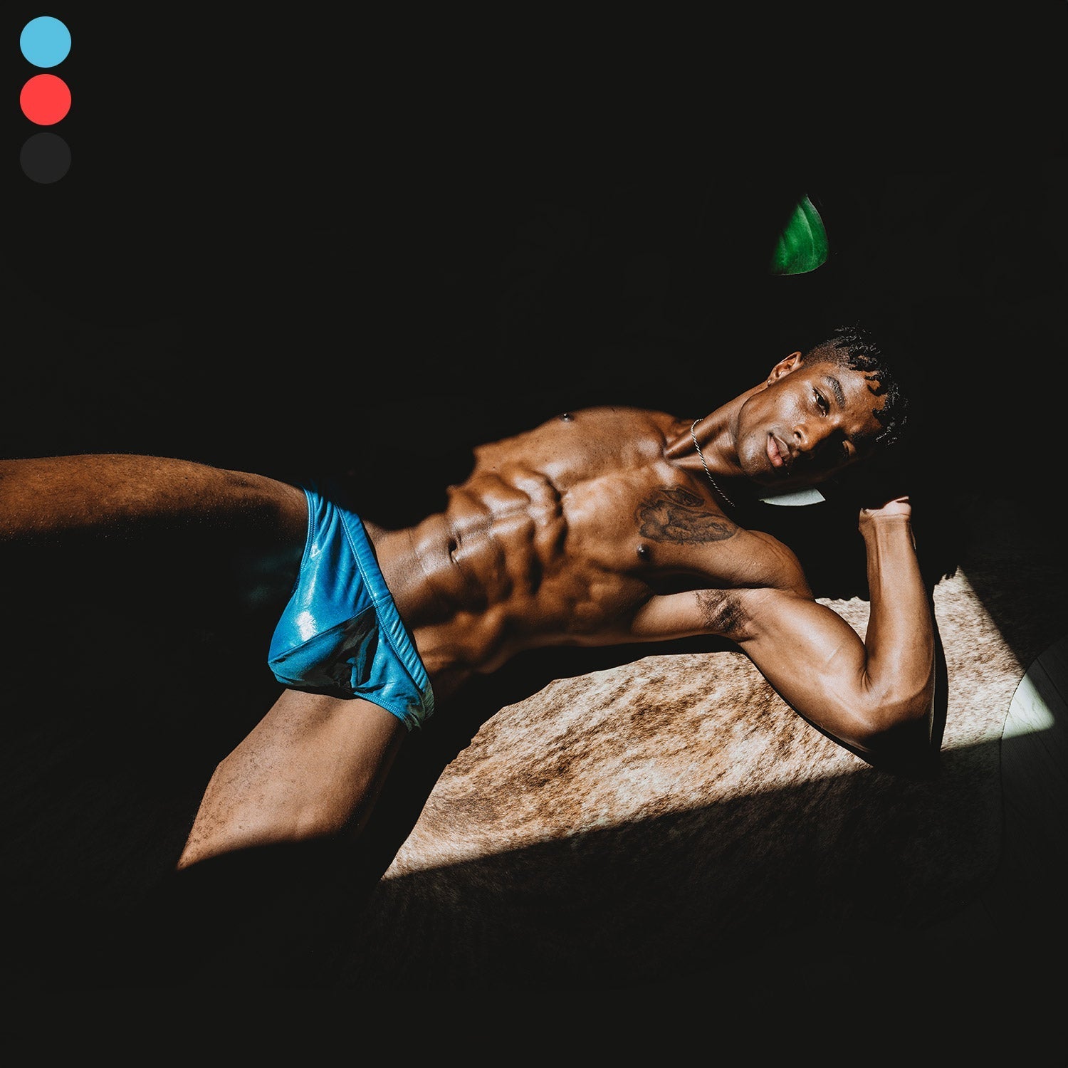 ORVLS Shiny Metallic Swim Briefs | dmunderwear detail image 2