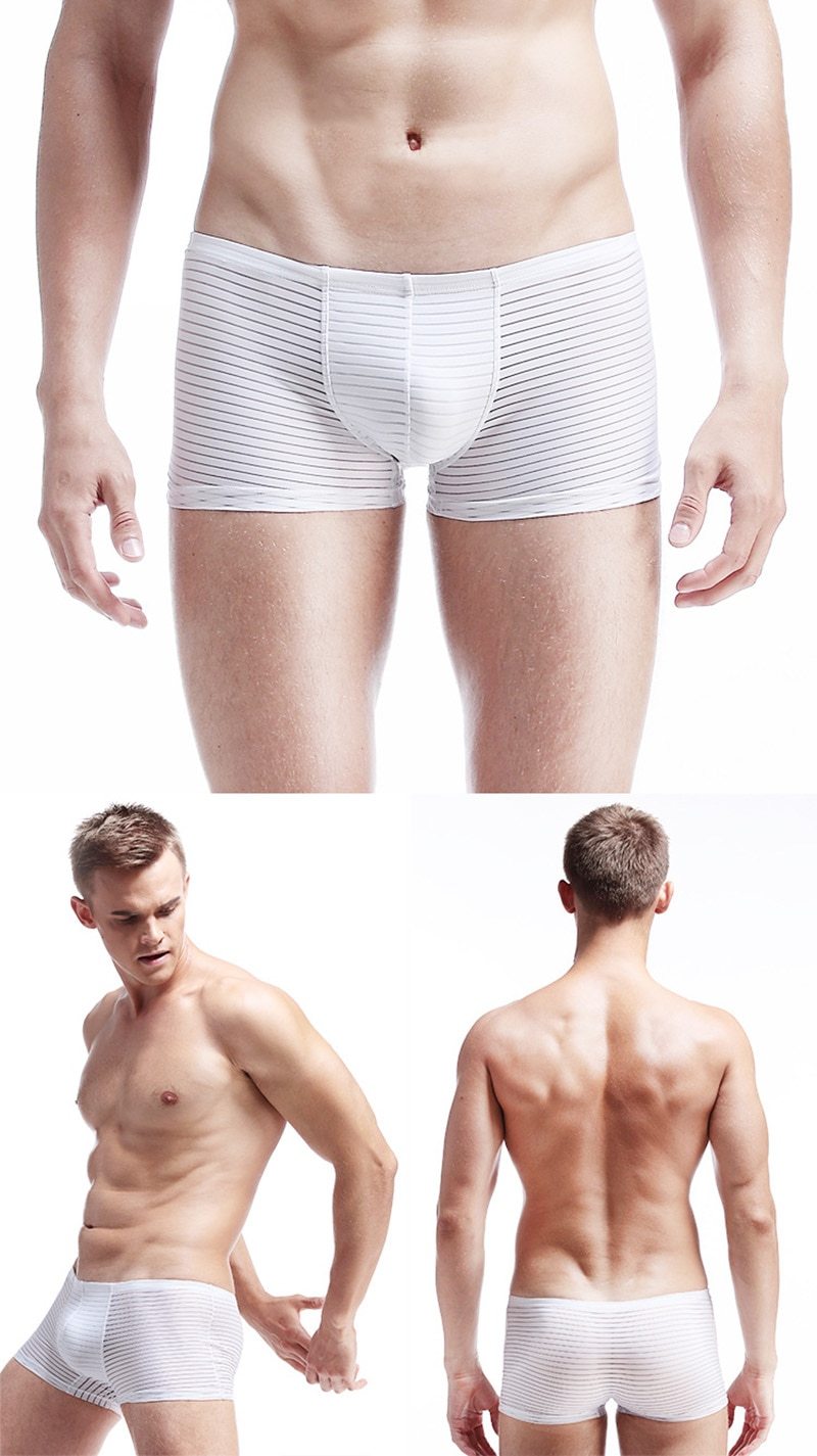 ORVLS Silky Sheer Striped Boxers | dmunderwear detail image 3