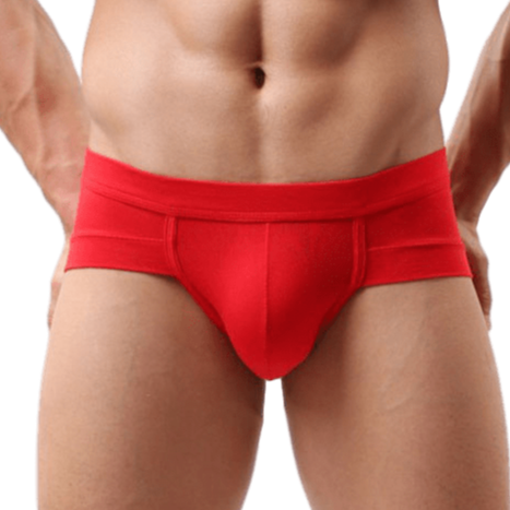 Snug Modal T Briefs | dmunderwear detail image 1