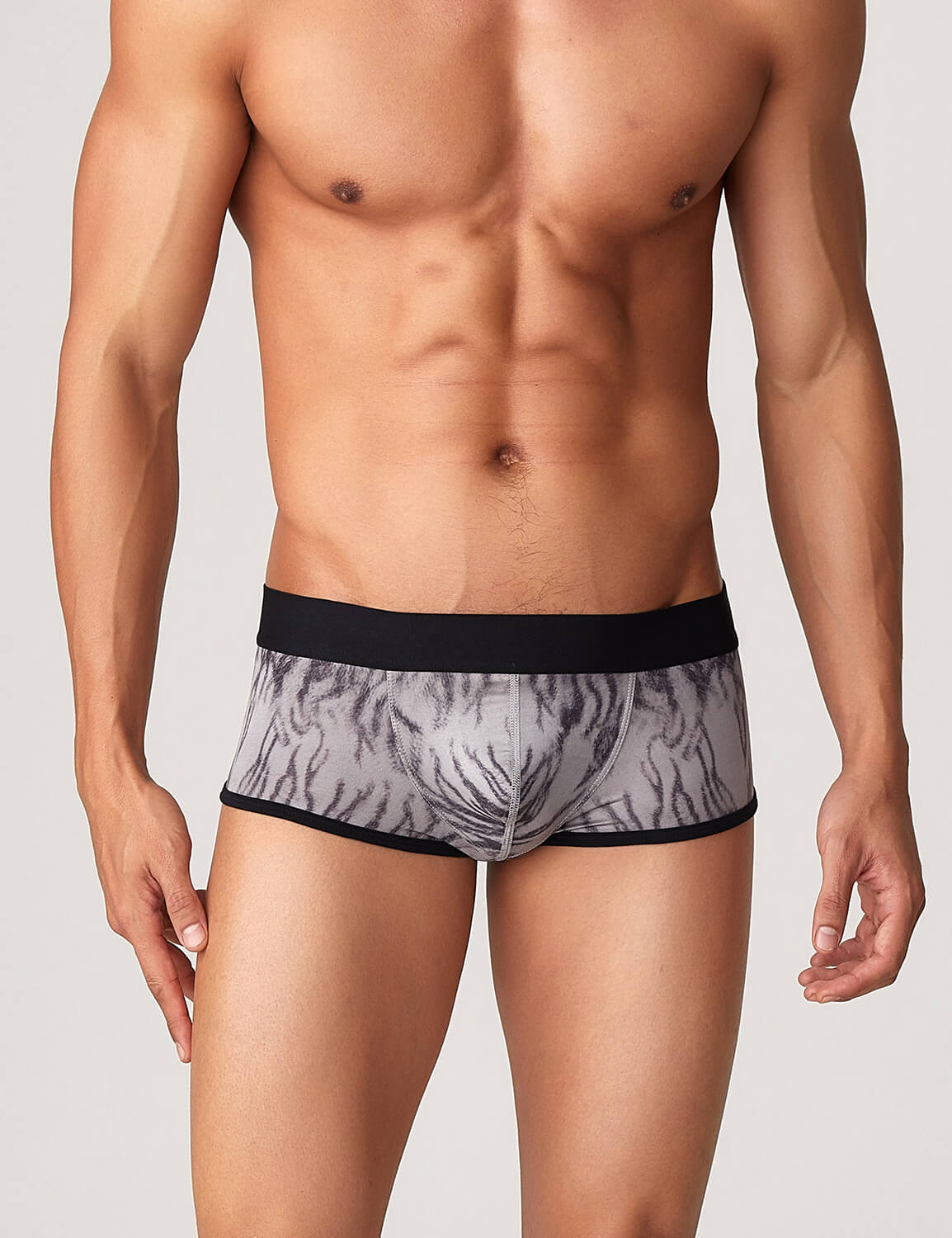 Tiger Stripes Boxer Brief 22206 | dmunderwear detail image 1