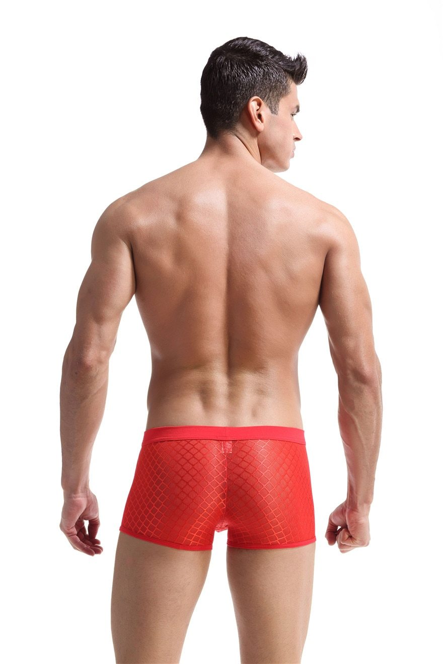 Transparent Mesh Boxers | dmunderwear detail image 1