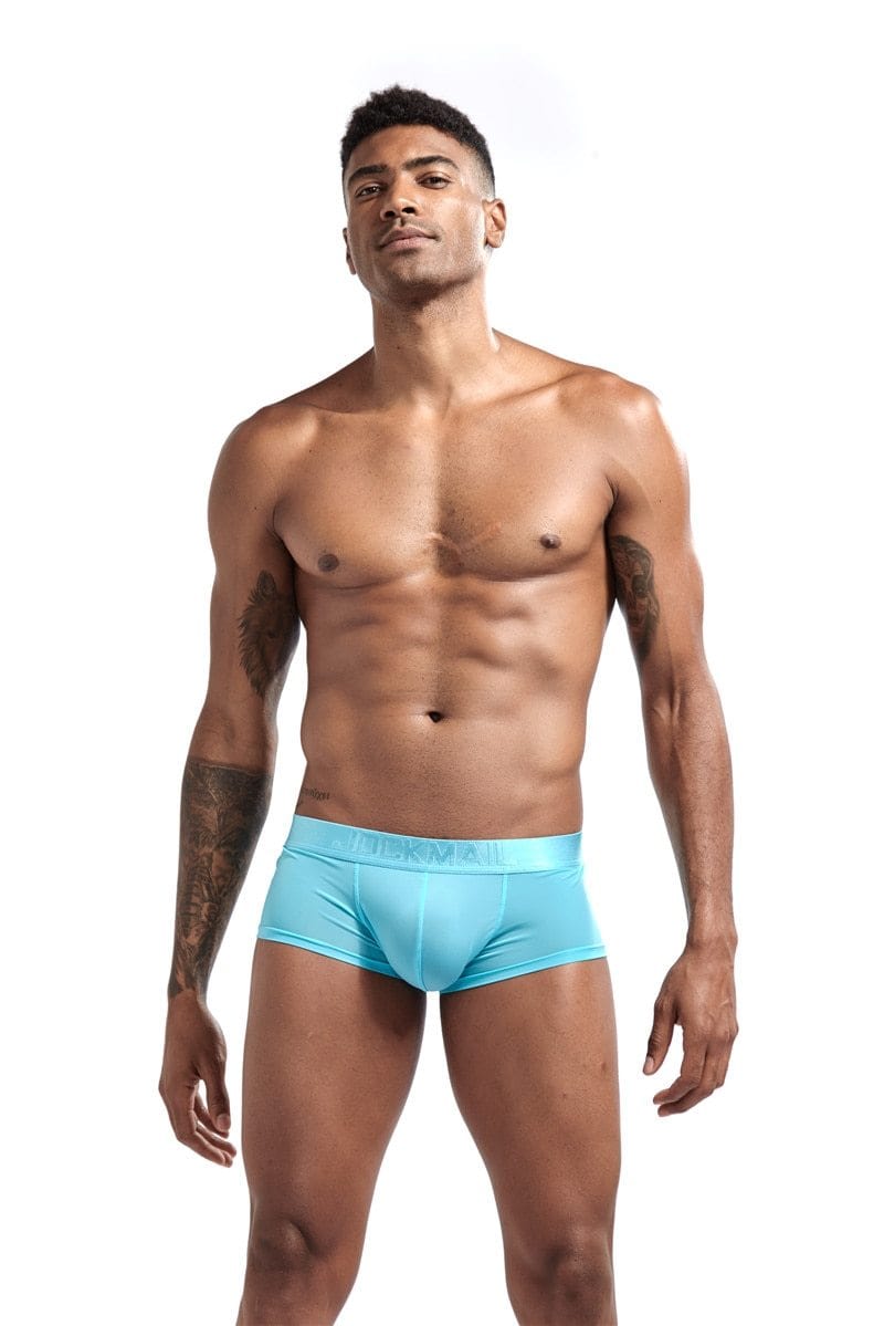 Ultra-Thin Ice Silk Trunks | dmunderwear variant image